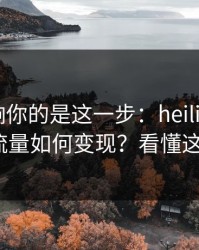 真正影响你的是这一步：heiliaowang的灰色流量如何变现？看懂这7个环节