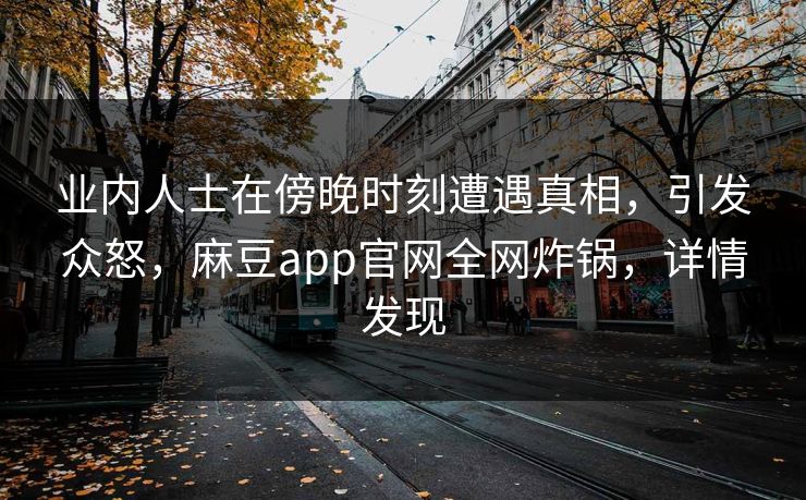 业内人士在傍晚时刻遭遇真相，引发众怒，麻豆app官网全网炸锅，详情发现
