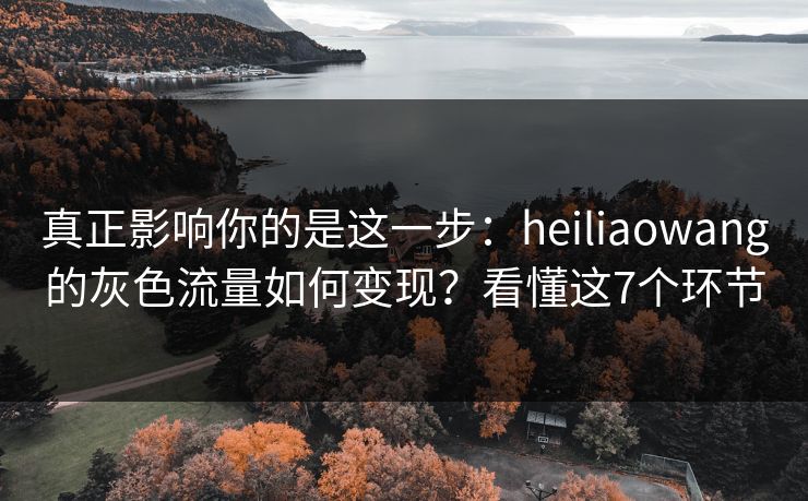 真正影响你的是这一步：heiliaowang的灰色流量如何变现？看懂这7个环节