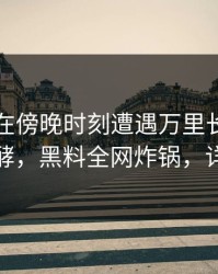 圈内人在傍晚时刻遭遇万里长征小说持续发酵，黑料全网炸锅，详情查看