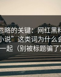 很多人忽略的关键：网红黑料和“万里长征小说”这类词为什么会被绑在一起（别被标题骗了）