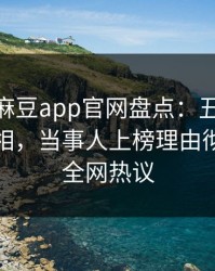 震惊！麻豆app官网盘点：丑闻10个细节真相，当事人上榜理由彻底令人全网热议