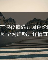 主持人在深夜遭遇丑闻评论区沸腾，黑料全网炸锅，详情查看