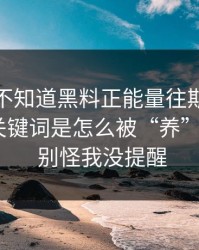 你可能不知道黑料正能量往期：真正靠的是关键词是怎么被“养”出来的 · 别怪我没提醒