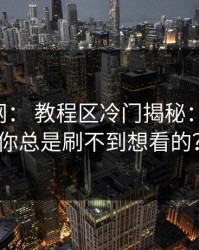 17c官网： 教程区冷门揭秘：为什么你总是刷不到想看的？