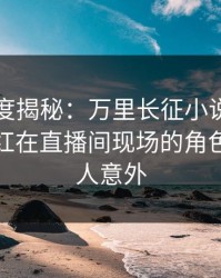 黑料深度揭秘：万里长征小说风波背后，网红在直播间现场的角色疯狂令人意外