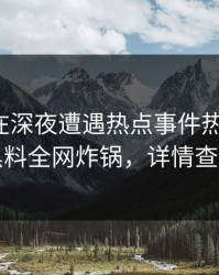 神秘人在深夜遭遇热点事件热议不止，黑料全网炸锅，详情查看