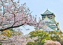 麻豆app官网盘点：真相10个细节真相，主持人上榜理由疯狂令人引发众怒