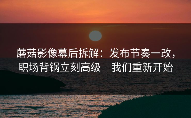 蘑菇影像幕后拆解：发布节奏一改，职场背锅立刻高级｜我们重新开始